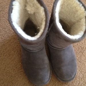 Grey bearpaw