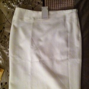 Iceberg skirt. Brand new with tags