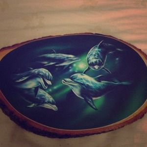 Dolphin wall art !