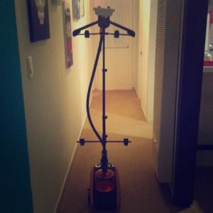 Haan Garmet Steamer HOLD FOR @KAFFINNEEE!!!