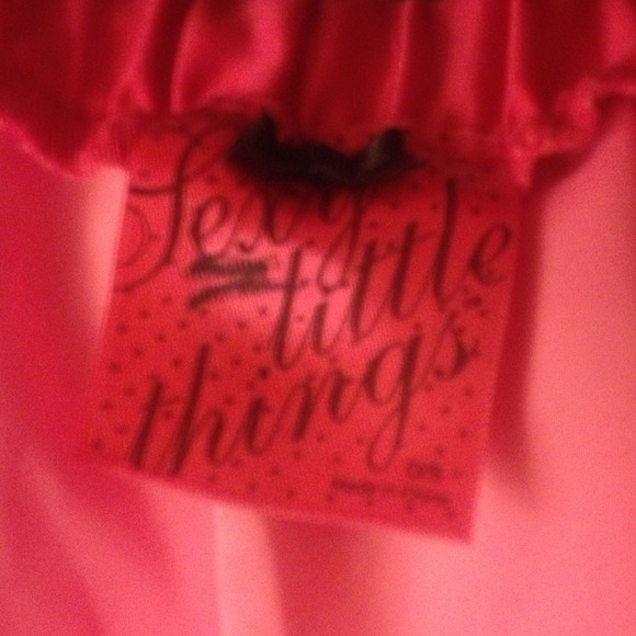 Victoria's Secret sexy little things skirt - Picture 4 of 4