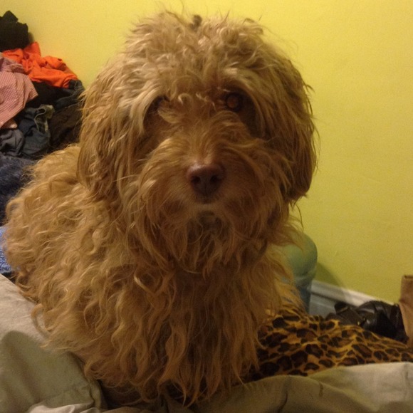 My best friend