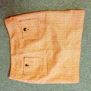 Ann Taylor Loft skirt! Super cute size 2