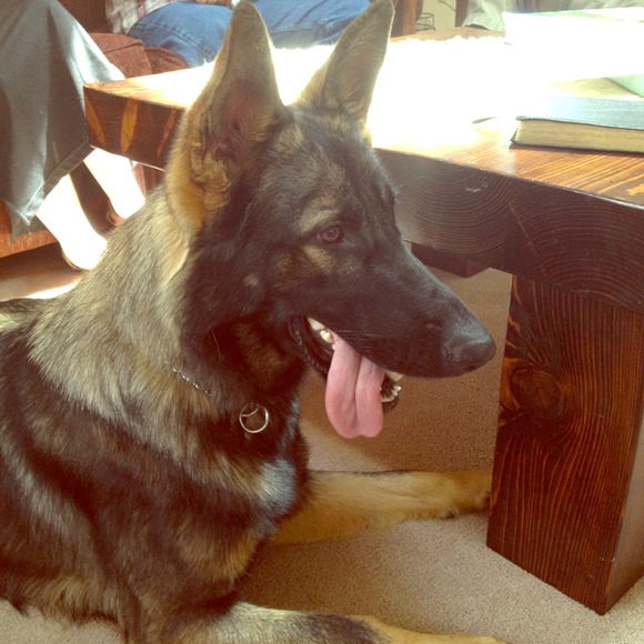 Accessories - Meet my baby!