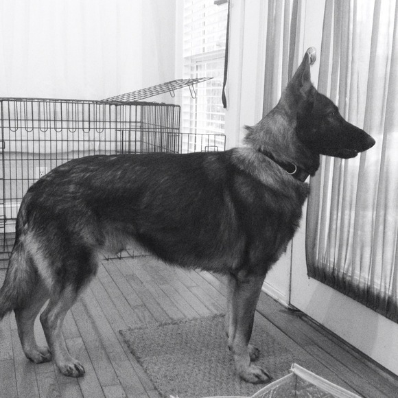 Meet my baby! - Picture 2 of 4