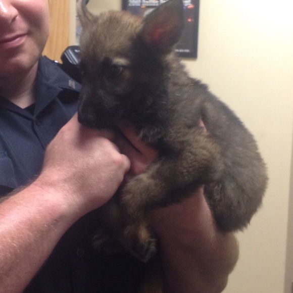 Meet my baby! - Picture 4 of 4