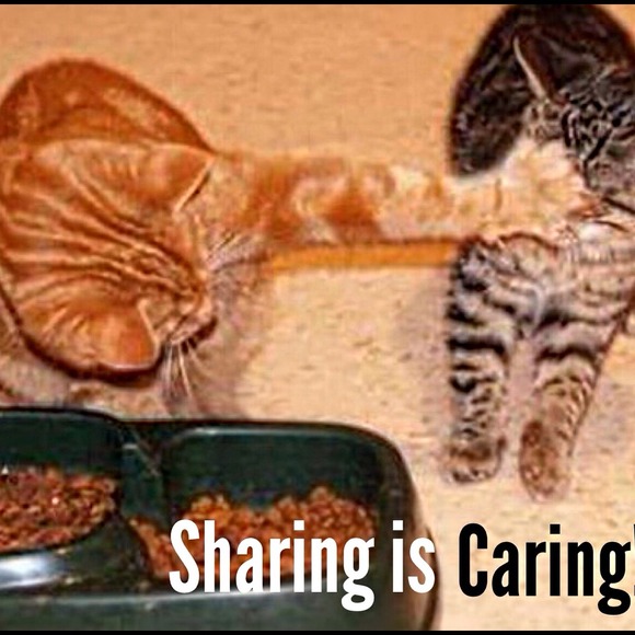 You share mine, I'll share yours!