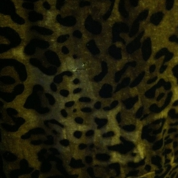 Cute Leopard Top - Picture 4 of 4