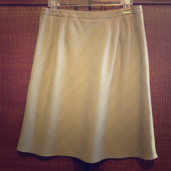 Ann Taylor Loft lined skirt