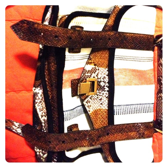proenza bag authentic