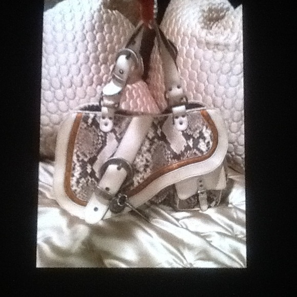 Dior python bag ( SOLD)