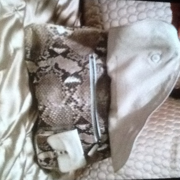 Dior python bag ( SOLD) - Picture 2 of 4