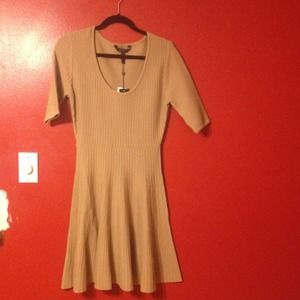 BCBG knit dress