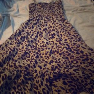 Bundle for @discokitten