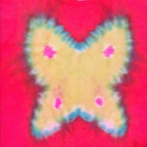Beautiful and colorful tye dyed butterfly!!