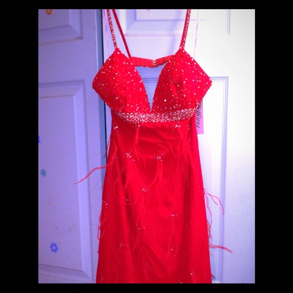 Prom/ Pageant dress
