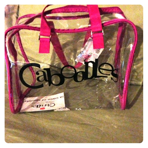 Clear makeup or storage bag