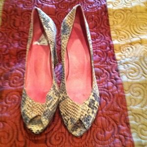 Ladies all leader alligator shoes