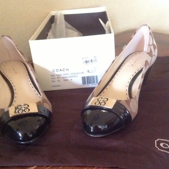 Coach 12CM Sig C in Khaki/Chestnut