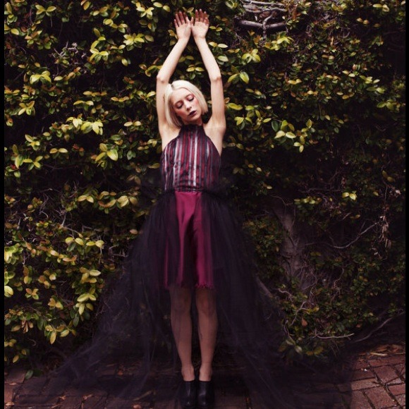 Gilded Eccentric F/W 2013 - Painted Cameo Gown