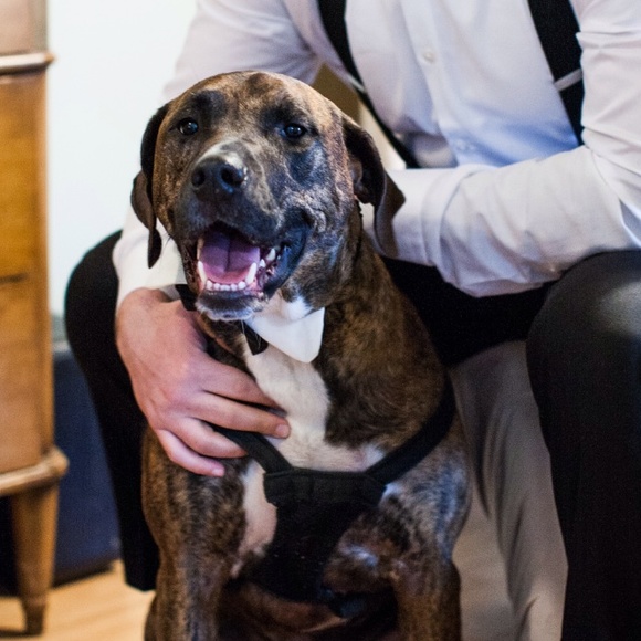 Meet your seller! Hi I'm Erica. - Picture 2 of 2