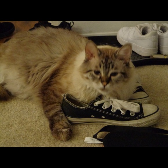 Parker