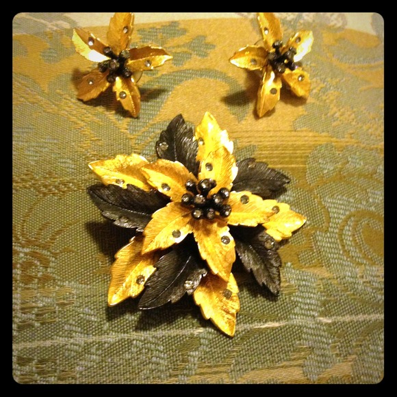 Gorgeous Pin and Earring Set