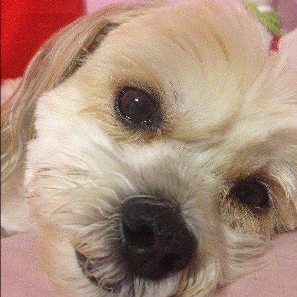 please shop our mommy's closet!