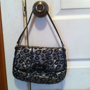 Small glamorous coach bag