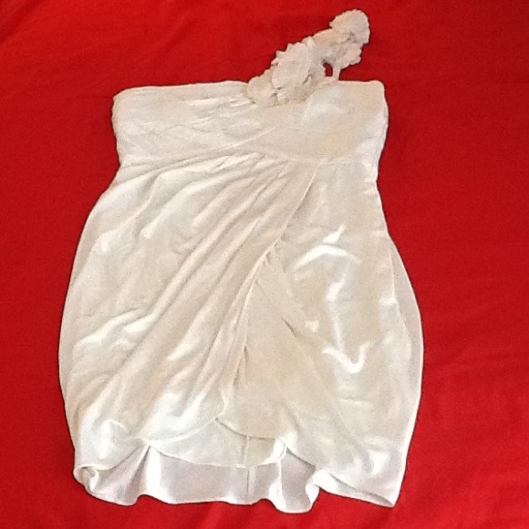 BCBG Maxazria Dress