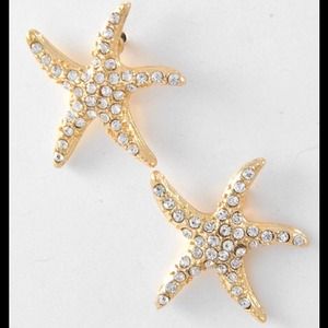 Starfish stud earrings 16.00