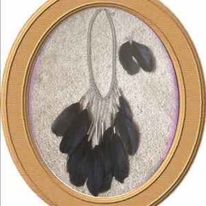 Black/Silver Feather Necklace w/Matching Earrings