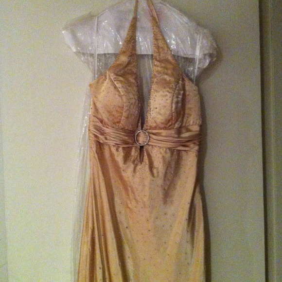 Cinderella long ball gown/prom dress