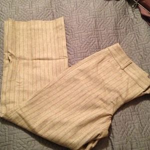 Loft dress pants