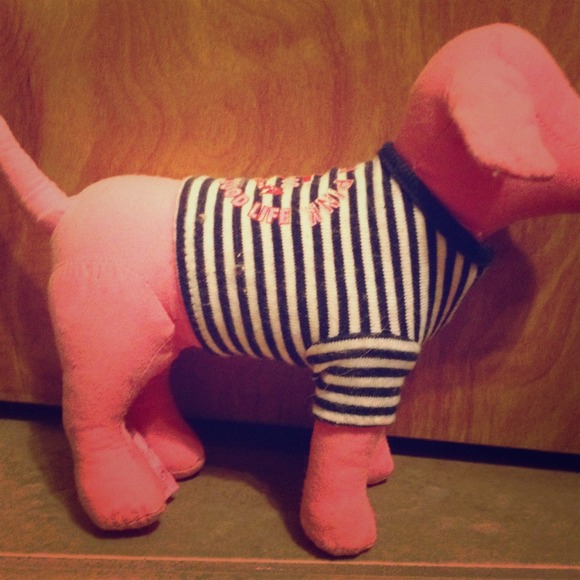 VIctoria's secret dog bundle