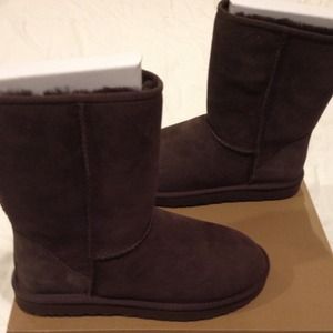 NWT classic Chocolate short Uggs