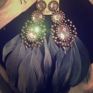 Beautiful new earrings with blue feather accent!