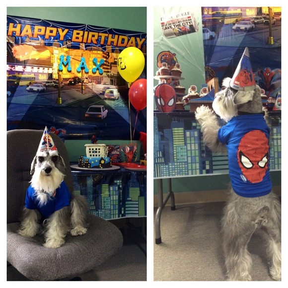 MEET YOUR SELLERS/BUYERS! 😉🐶 - Picture 4 of 4