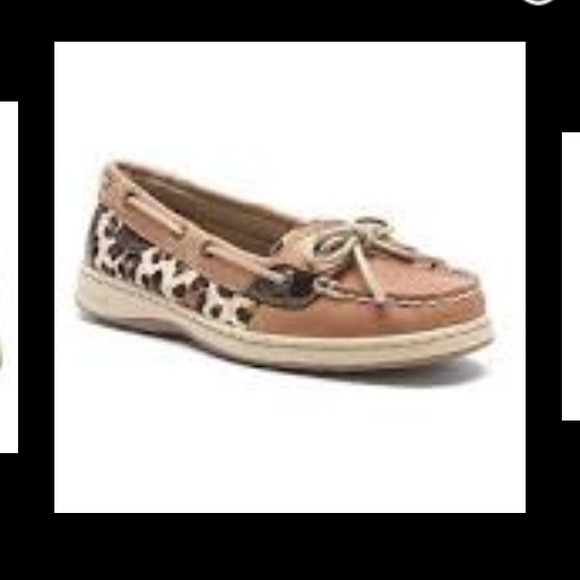 LOOKING for these! - Picture 1 of 2
