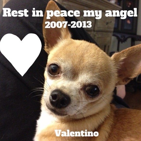 My baby passed 💔