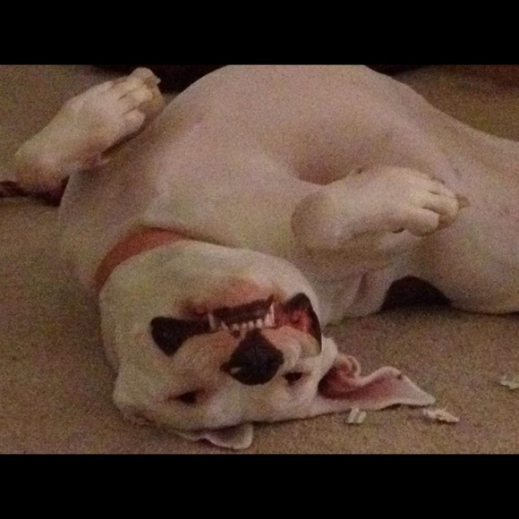 That's my baby girl!! Not for sale!! :-) - Picture 2 of 4