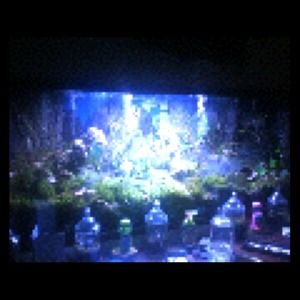 This Is The Day For Jewelry!!!! Come Check It Out!