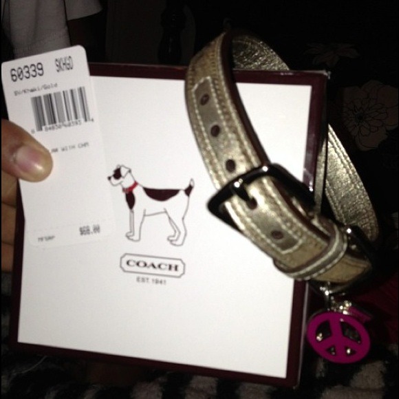 SMALL COACH DOG COLLAR!