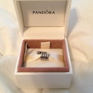 Pandora charm