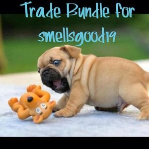 Bundle to trade with smellsgood19