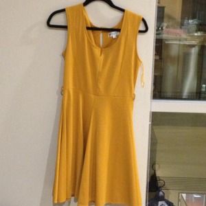 Mustard yellow dress.