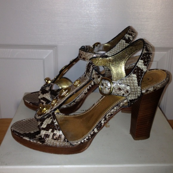 Coach Python - Picture 3 of 4