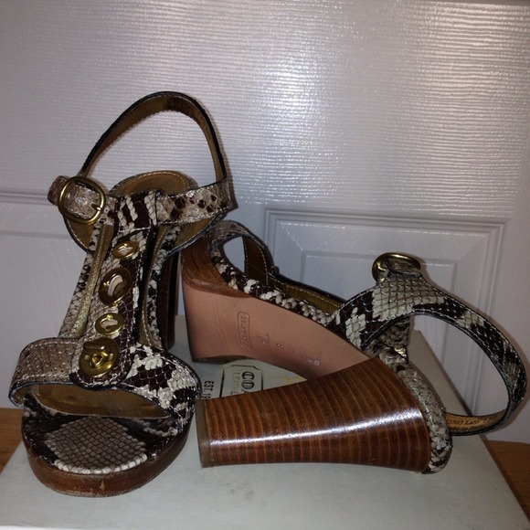 Coach Python - Picture 4 of 4