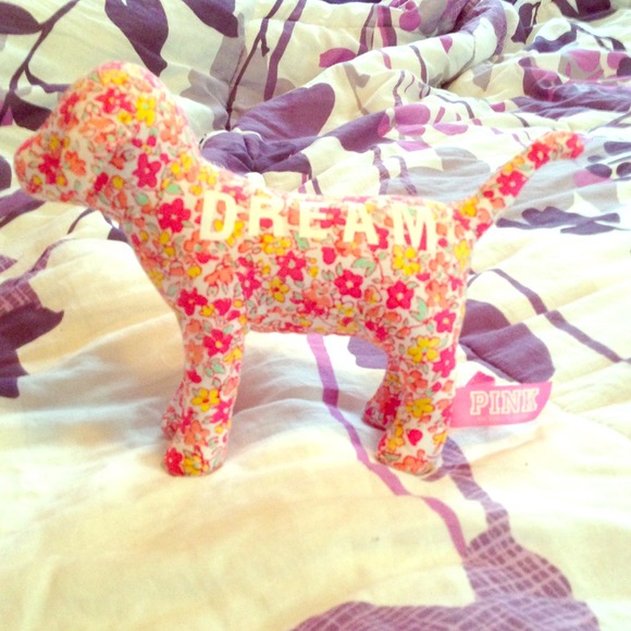 VS PINK DOG and Armani glasses case!