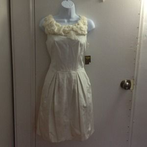 ⬇️👗Taylor dress👗⬇️